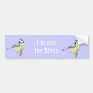 Ik rem voor vogels, Waterverf Common Bird Bumpersticker