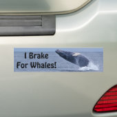Ik rem voor walvissen! Bumpersticker (Op auto)