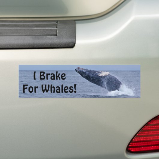 Ik rem voor walvissen! Bumpersticker (Op auto)
