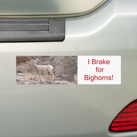 Ik remt voor Bighorns. Bumpersticker (Op auto)