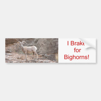 Ik remt voor Bighorns. Bumpersticker
