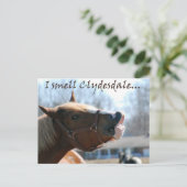 Ik ruik clydesdales briefkaart (Staand voorkant)