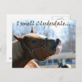 Ik ruik clydesdales briefkaart (Voorkant / Achterkant)