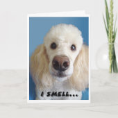 Ik ruik een oud wit waas met een grote neus kaart (Voorkant)