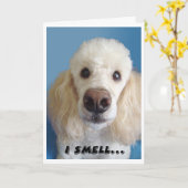 Ik ruik een oud wit waas met een grote neus kaart (Gele Bloem)