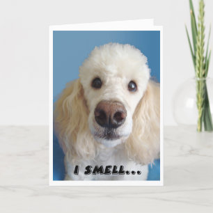 Ik ruik een oud wit waas met een grote neus kaart