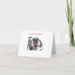 "Ik ruik taart!" Dog Nose Birthday-kaart Kaart