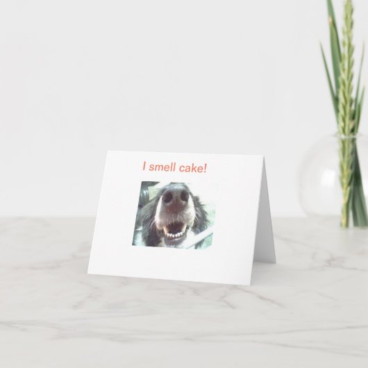 "Ik ruik taart!" Dog Nose Birthday-kaart Kaart (Voorkant)
