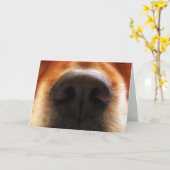 Ik ruik taart, hondensnuit, Wenskaart van de verja Kaart (Gele Bloem)