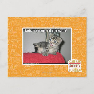 Ik scheten in je generaal direkshun briefkaart