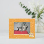 Ik scheten in je generaal direkshun briefkaart (Staand voorkant)