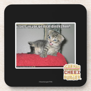 Ik schilder in je gen'ral direkshun bier onderzetter