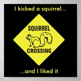 Ik schopte een eekhoorntje poster