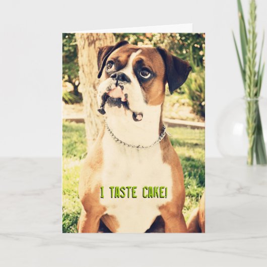 Ik smaakje! Boxer Birthday Card Kaart (Voorkant)
