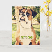 Ik smaakje! Boxer Birthday Card Kaart (Gele Bloem)