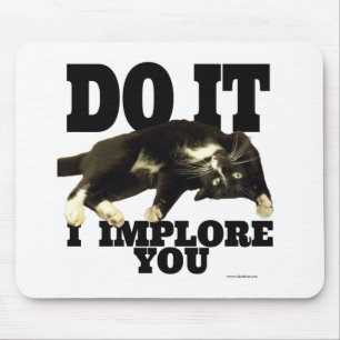 Ik smeek u om Motivatie katfoto-Gezegde Muismat