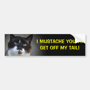Ik snor je om van mijn staart af te komen bumpersticker
