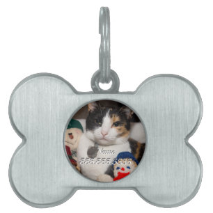 Ik spion een Calico huisdier tag Huisdieren Naamplaatje