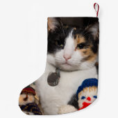 Ik spion een Calico Kerstkous Kleine Kerstsok (Achterkant)
