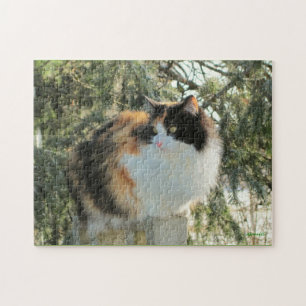 Ik spioneer met mijn koud oog legpuzzel