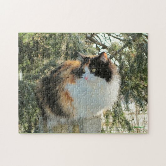 Ik spioneer met mijn koude oog legpuzzel (Horizontaal)