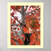 Ik spioneer... poster (Voorkant)