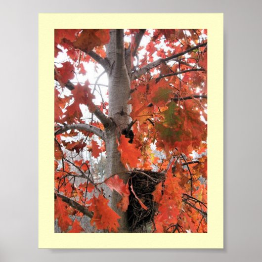 Ik spioneer... poster (Voorkant)