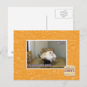 Ik sta niet op de tafel briefkaart (Voorkant / Achterkant)