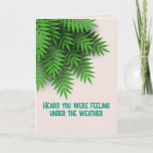 Ik steek mijn nek uit om te zeggen: word snel bete kaart (Voorkant)