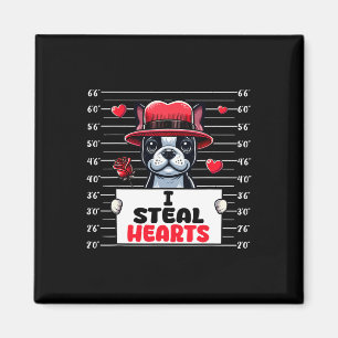 Ik steel schattige harten Valentijnsdag Boston Ter Magneet