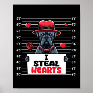 Ik steel schattige harten Valentijnsdag Cane Corso Poster