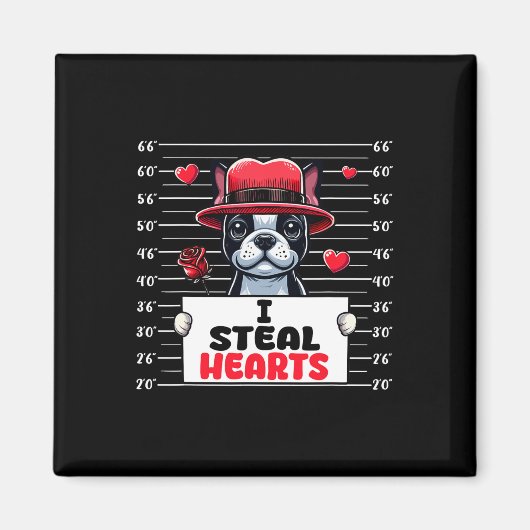 Ik steel Schattige Hearts Valentijnsdag Boston Ter Magneet (Voorkant)