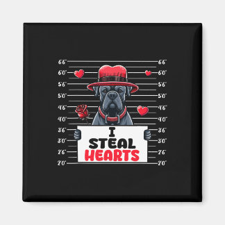 Ik steel Schattigee harten Valentijnsdag Cane Cors Magneet