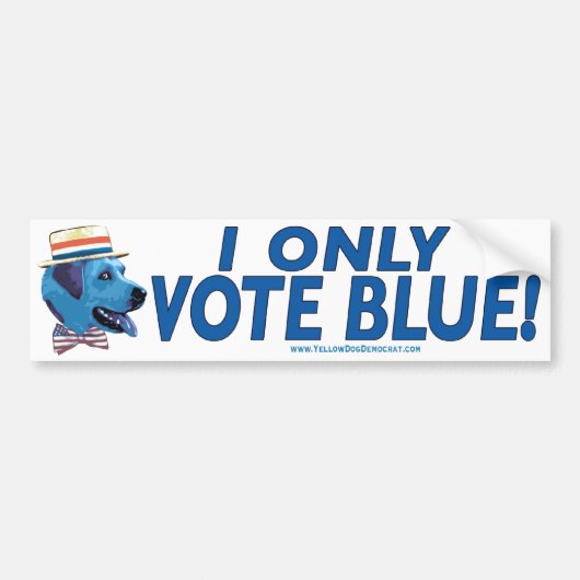 Ik stem alleen blauwe Bumpersticker  (Voorkant)