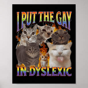 Ik stopte de homo in dyslectische grappige kattenm poster