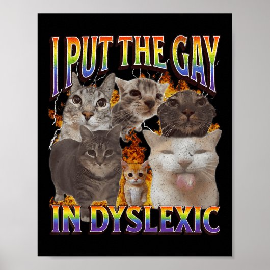 Ik stopte de homo in dyslectische grappige kattenm poster (Voorkant)