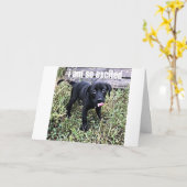 IK STUUR EEN GLIMLACH EN ZEG *** GEFELICITEERD *** KAART (Gele Bloem)