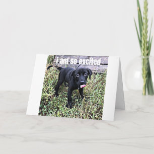 IK STUUR EEN GLIMLACH EN ZEG *** GEFELICITEERD *** KAART