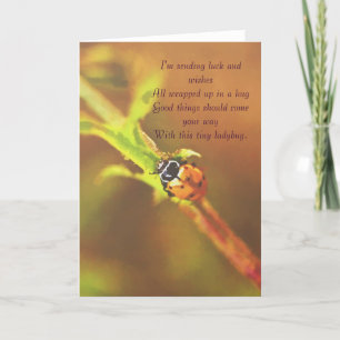 Ik stuur geluk..ladybug grietingcard kaart