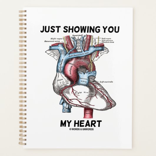 Ik toon je mijn hart anatomisch hart planner (Voorkant)