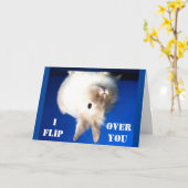 *IK VAL OVER JE* OP VERJAARDAGSUITZENDING LAAT IK  KAART (Gele Bloem)