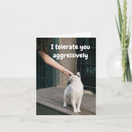 Ik verdraag jou grappig van de kat kaart
