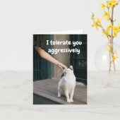 Ik verdraag jou grappig van de kat kaart (Gele Bloem)