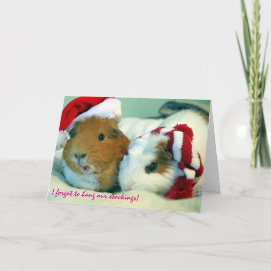 Ik vergat om onze kousen te hangen! feestdagen kaart (Voorkant)