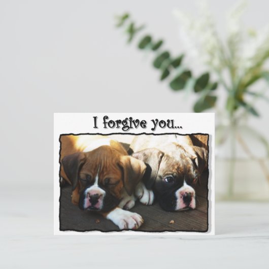 Ik vergeef je bokser puppies briefkaart (Staand voorkant)