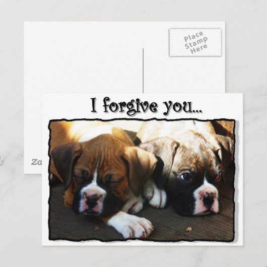 Ik vergeef je bokser puppies briefkaart (Voorkant / Achterkant)