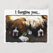 Ik vergeef je bokser puppies briefkaart (Voorkant)