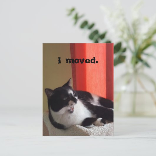 Ik verhuisde Schattige Tuxedo Cat Talking Photo Br Briefkaart (Staand voorkant)
