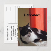Ik verhuisde Schattige Tuxedo Cat Talking Photo Br Briefkaart (Voorkant / Achterkant)