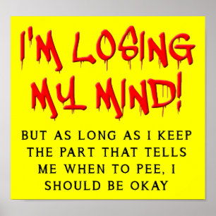 Ik verlies mijn verstand Grappig Poster Bord